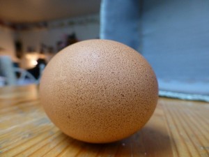 egg-123633_640